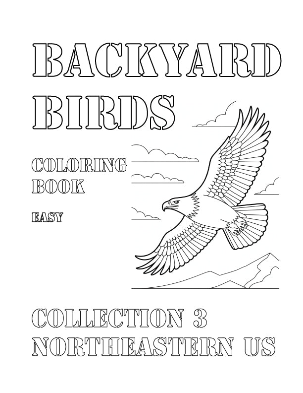 Coloring Book: Backyard Birds of the Northeastern US Collection 3