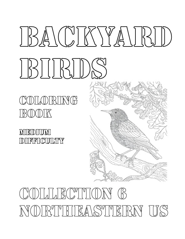 Coloring Book: Backyard Birds of the Northeastern US Collection 6
