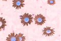 Pink Daisies Flowers Stock Photography, Crafting Background, Junk Journaling