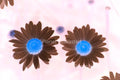 Two Pink Daisies Stock Photography, Flowers, Crafting Background