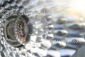 Headlight Stock Photography, Crafting Background, Junk Journaling