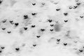 Christmas Tree Vees Inverted Black and White Abstract Stock Photography