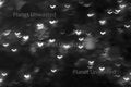 Christmas Tree Vees Black and White Abstract Stock Photography, Crafting Background