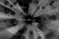 Daisies Black and White with Foliage Abstract Stock Photography