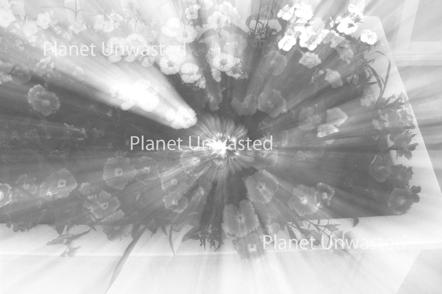 Flower Box Black and White Abstract Stock Photography, Crafting Background