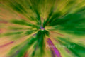 Field of Flowers 1 Inverted Green ICM Abstract Stock Photography