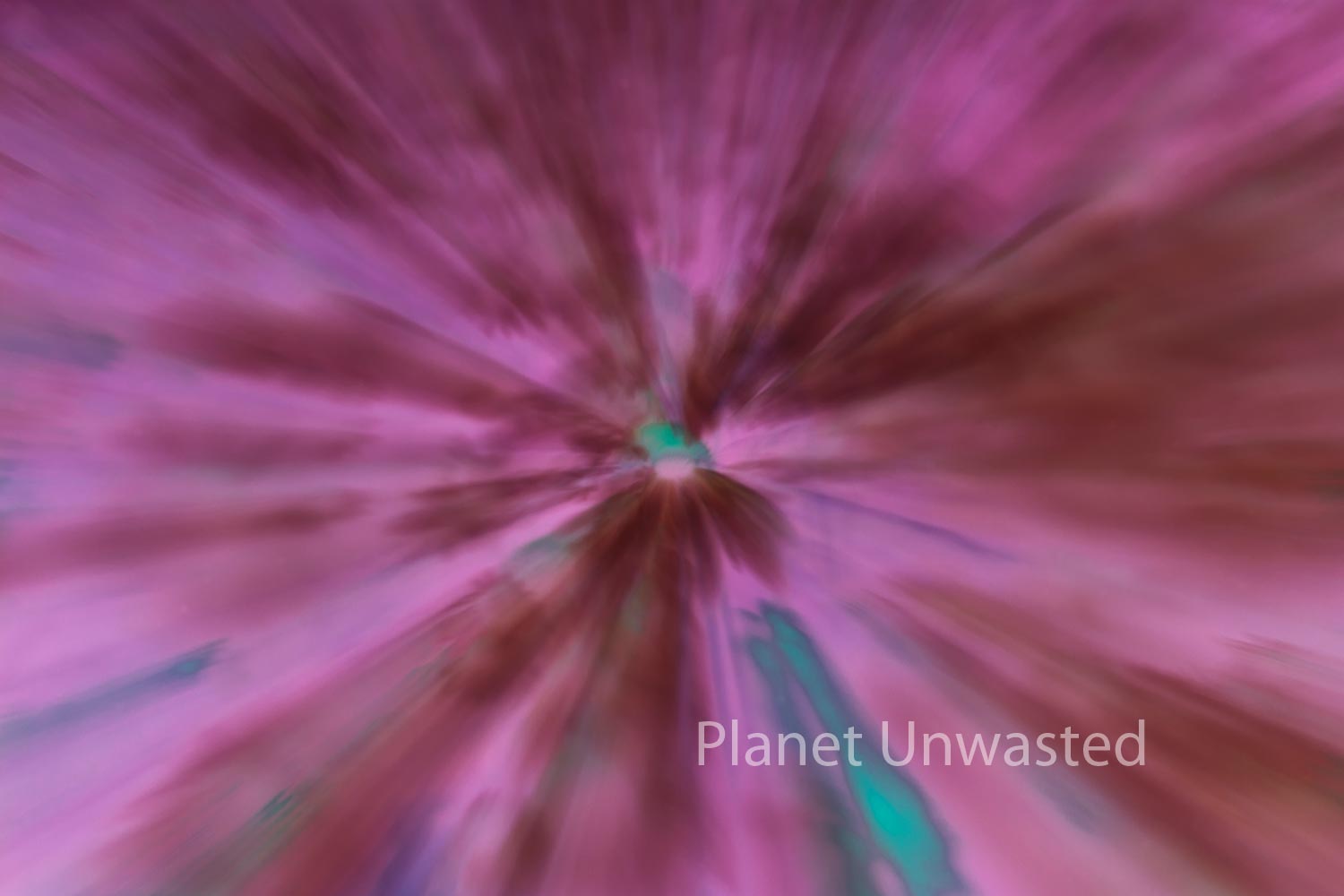 Field of Flowers 1 Inverted Pinks ICM Abstract Stock Photography
