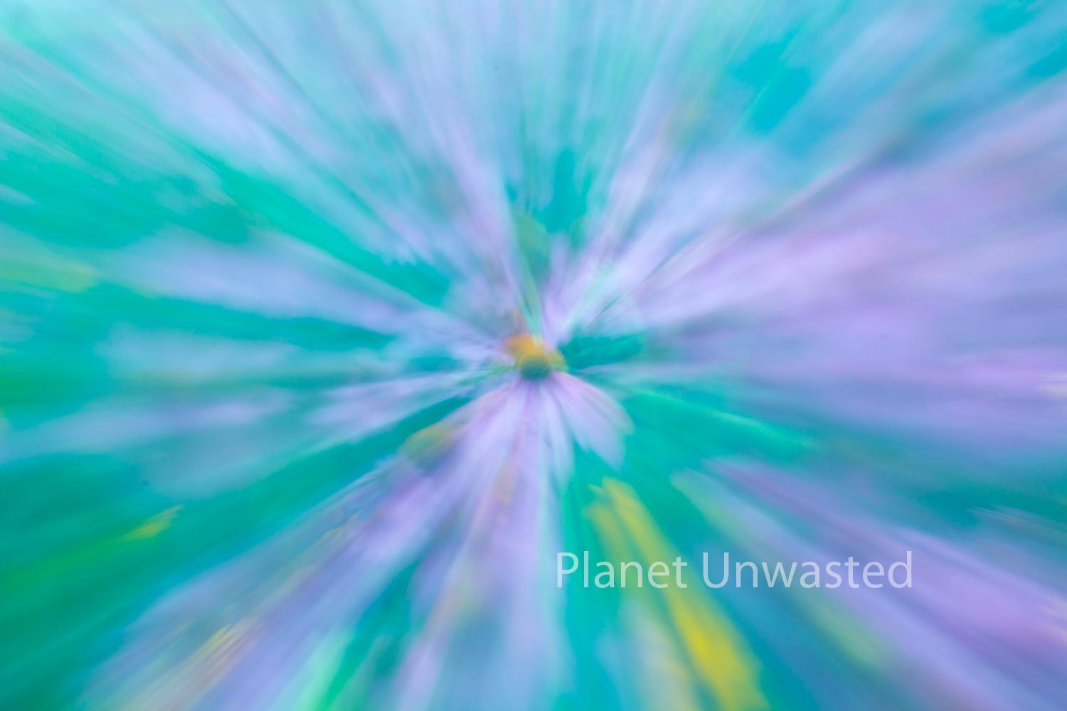Field of Flowers 1 ICM Abstract Stock Photography
