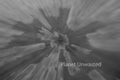 Field of Flowers 2 Black and White ICM Abstract Stock Photography