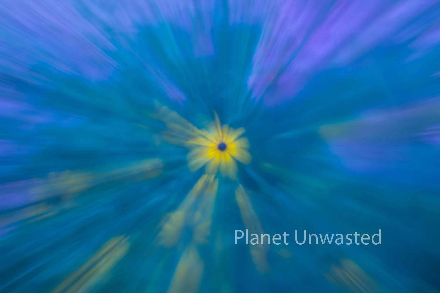 Field of Flowers 2 Blues ICM Abstract Stock Photography