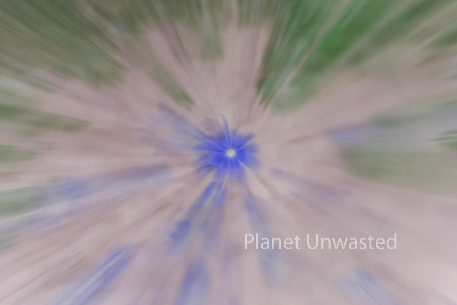 Field of Flowers 2 Inverted Blues and Greens ICM Abstract Stock Photography
