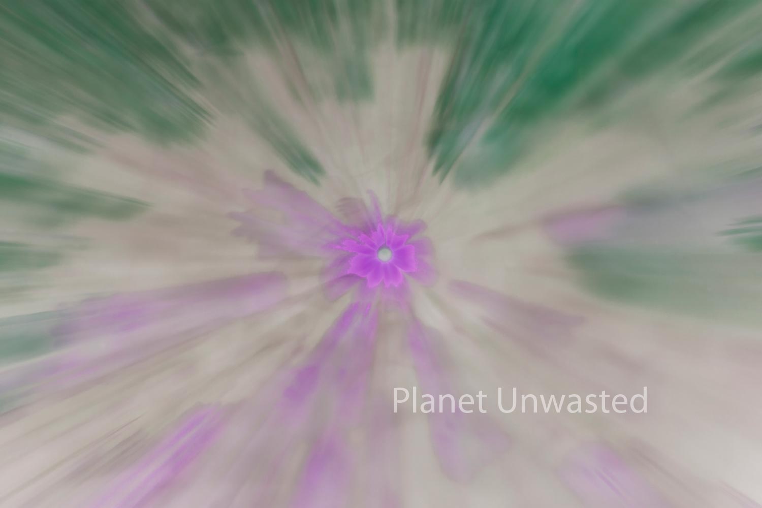 Field of Flowers 2 Inverted Purples and Greens ICM Abstract Stock Photography