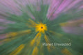 Field of Flowers 2 ICM Abstract Stock Photography