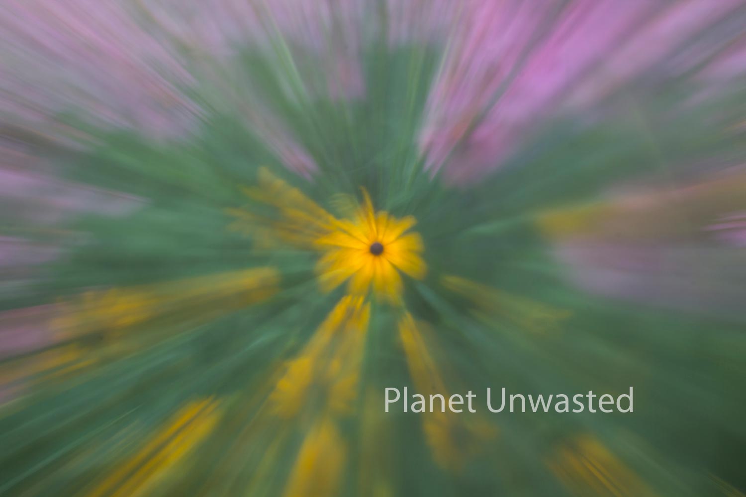 Field of Flowers 2 ICM Abstract Stock Photography