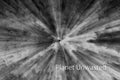 Holly Black and White Inverted ICM Abstract Stock Photography