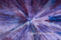 Holly Blues and Pinks ICM Abstract Stock Photography