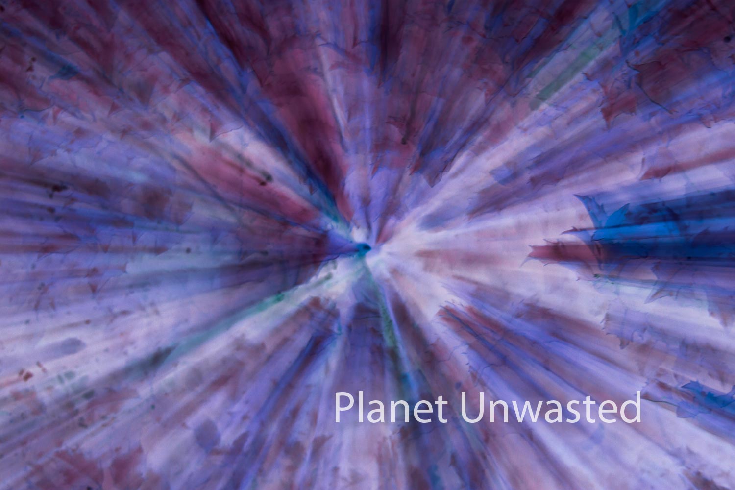 Holly Blues and Pinks ICM Abstract Stock Photography