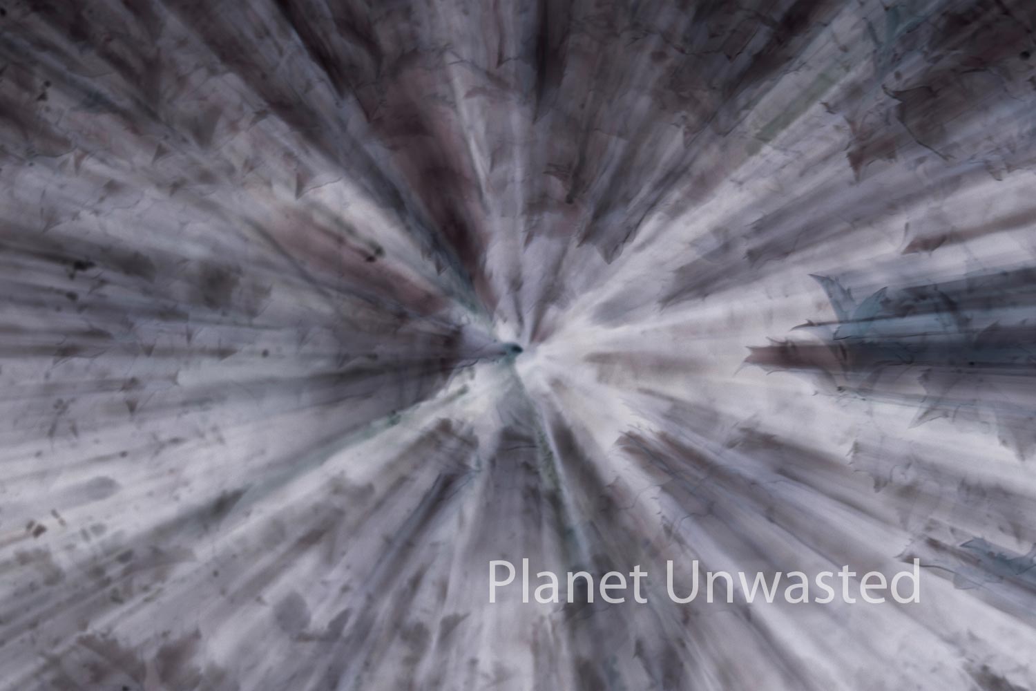 Holly Gray ICM Abstract Stock Photography