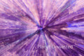 Holly Pink Purple ICM Abstract Stock Photography