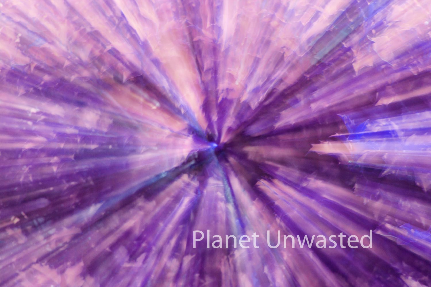 Holly Pink Purple ICM Abstract Stock Photography