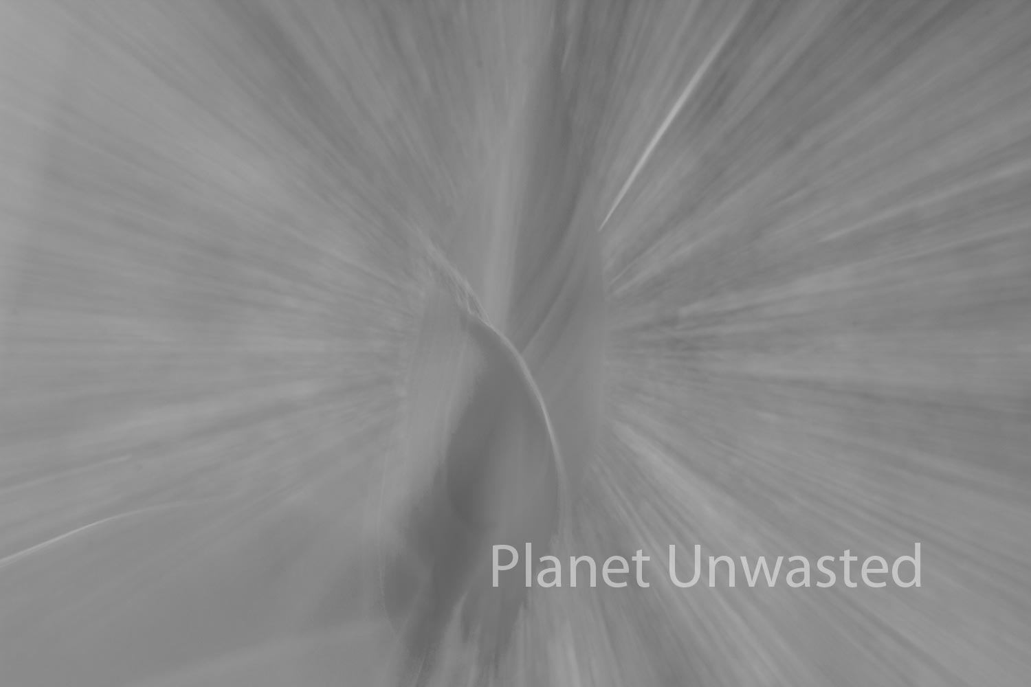 Tulip Leaf Black and White ICM Abstract Stock Photography