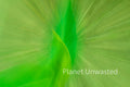 Tulip Leaf Green ICM Abstract Stock Photography
