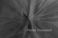 Tulip Leaf Inverted Black and White ICM Abstract Stock Photography