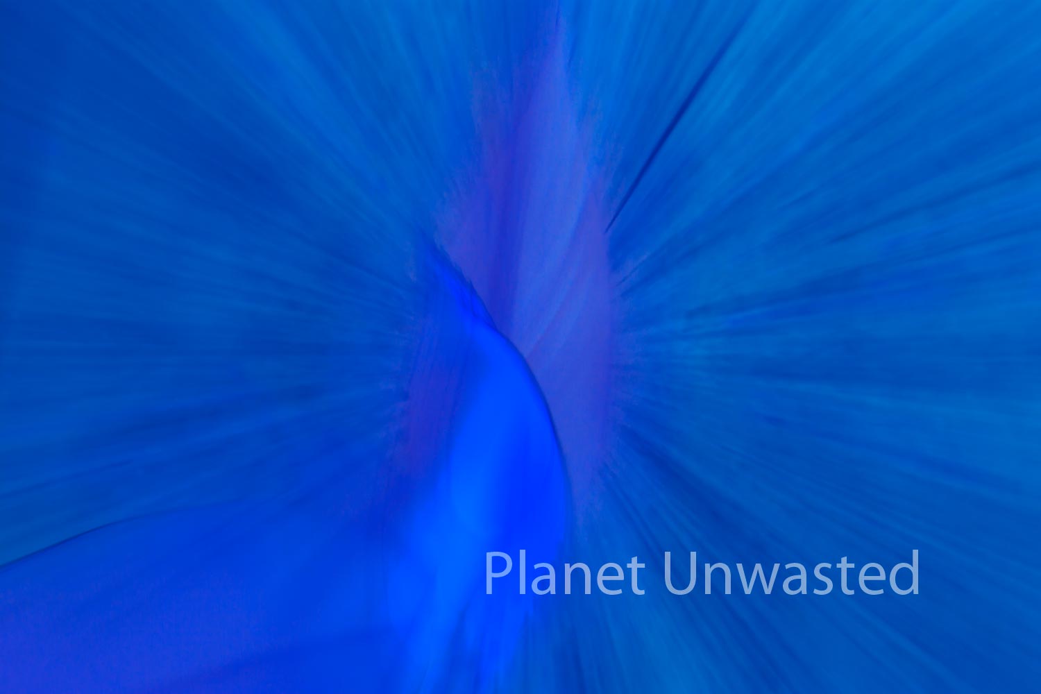 Tulip Leaf Inverted Blue ICM Abstract Stock Photography