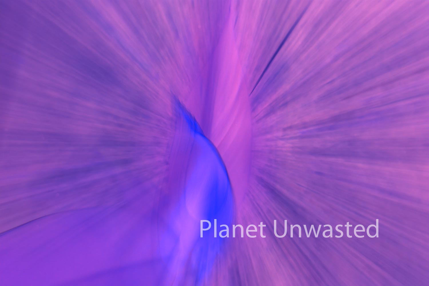 Tulip Leaf Inverted Purple Blue ICM Abstract Stock Photography