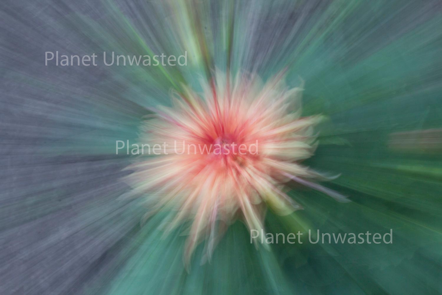 Orange Flower ICM Abstract Stock Photography, Crafting Background