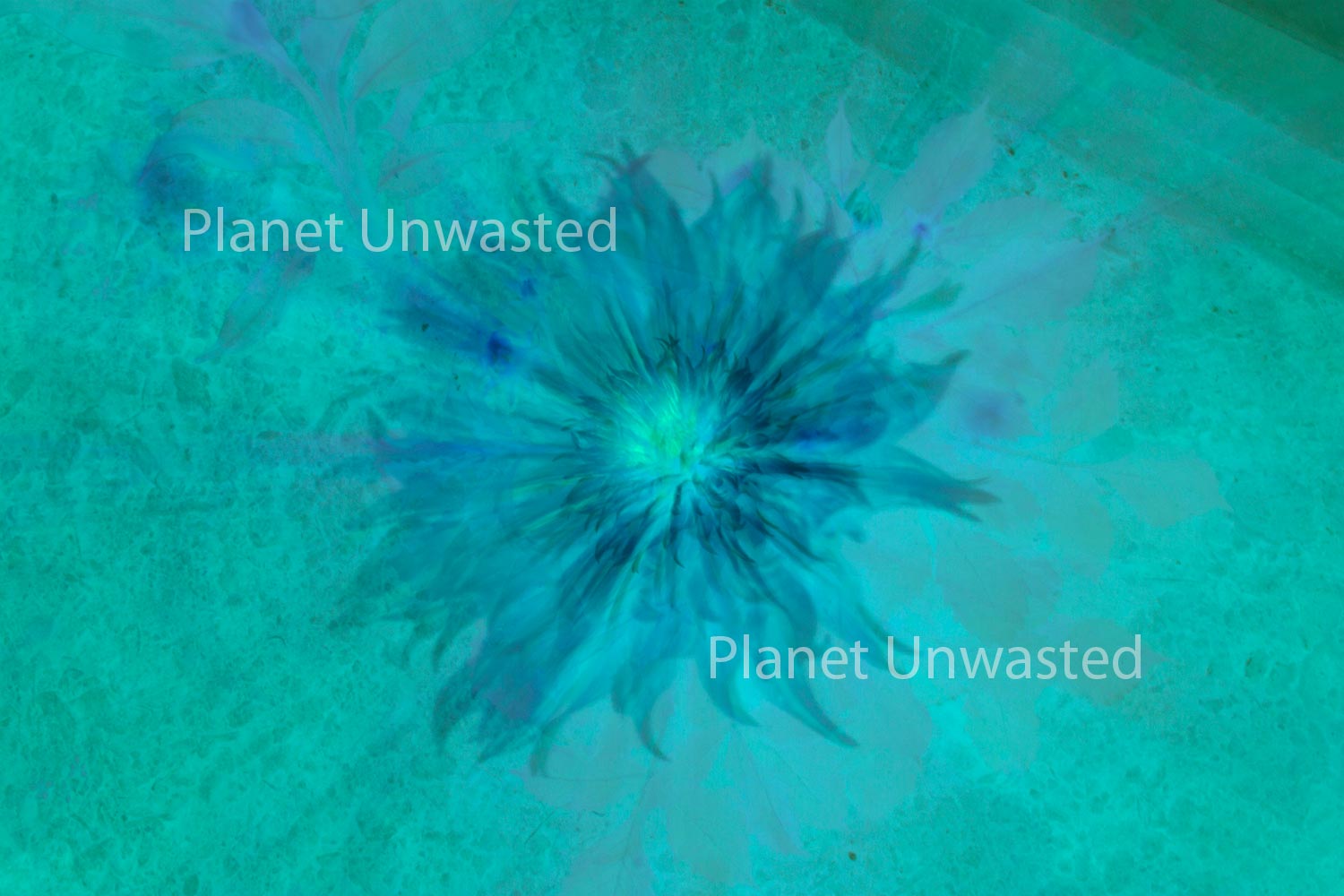 Inverted Blue Flower Abstract Stock Photography, Crafting Background