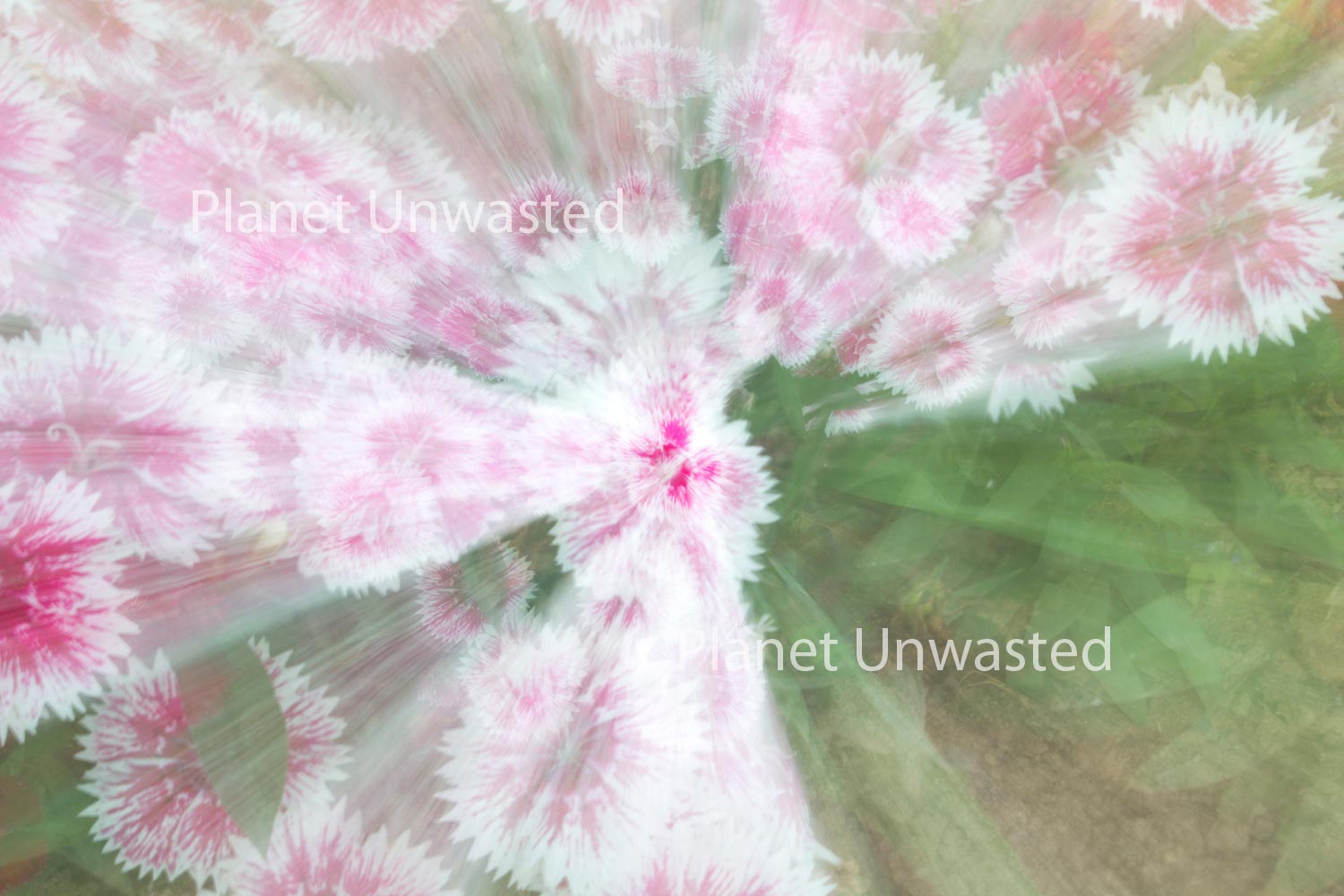 Pink Flowers ICM Abstract Stock Photography, Crafting Background
