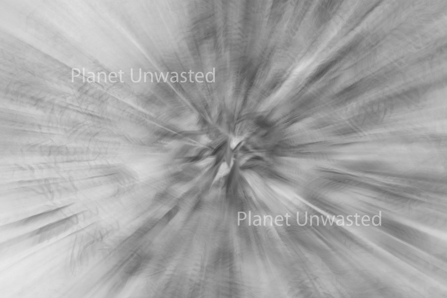 Purple Flower 2 ICM Black and White Abstract Stock Photography