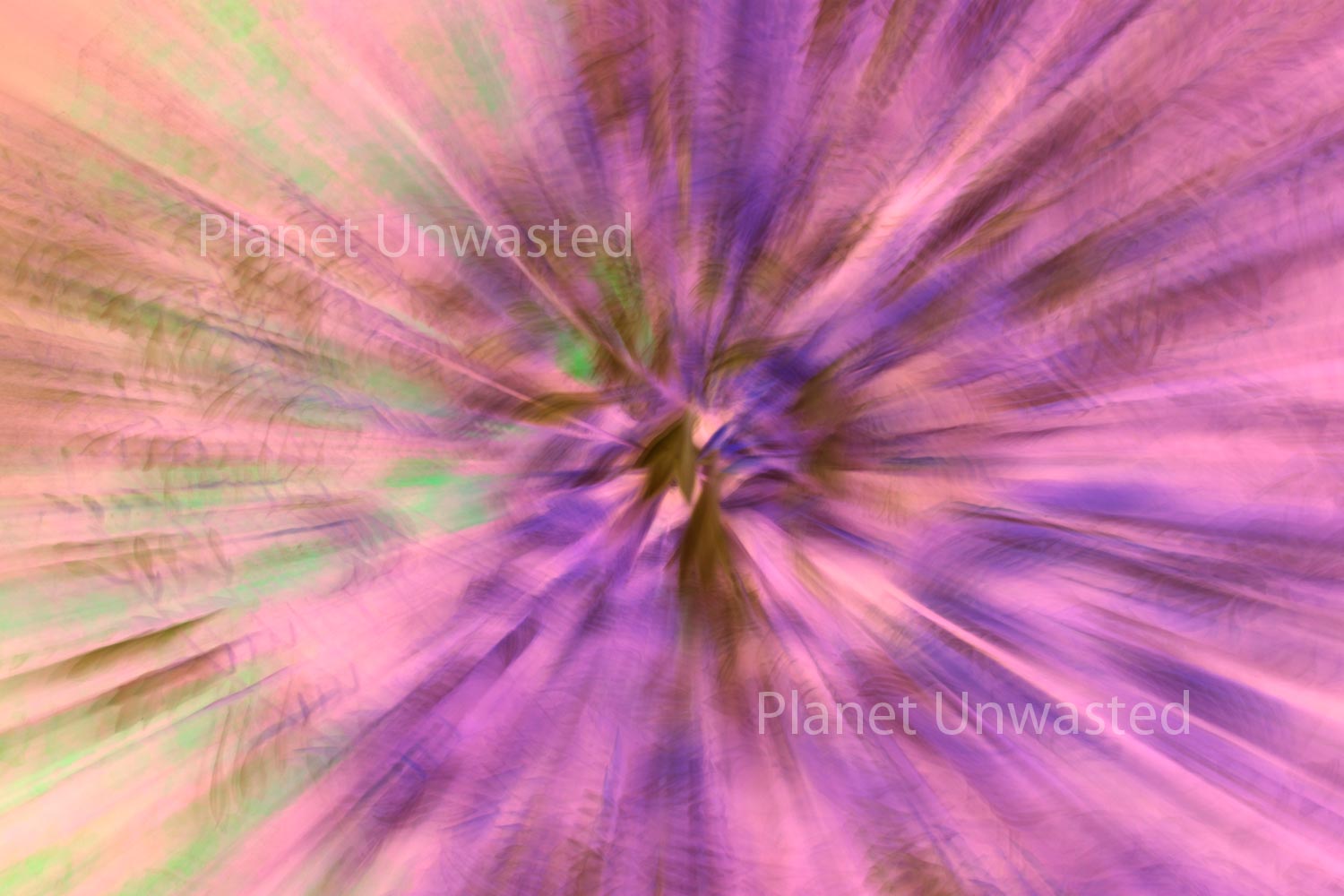 Purple Flower 2 Inverted Pinks ICM Abstract Stock Photography