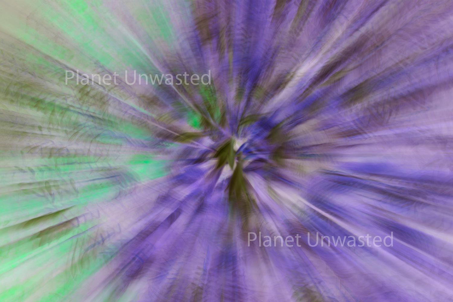 Purple Flower 2 Inverted ICM Abstract Stock Photography
