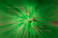 Purple Flower 3 Inverted Green ICM Abstract Stock Photography