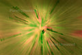 Purple Flower 3 Yellow and Green ICM Abstract Stock Photography