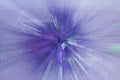 Purple Flower 3 ICM Abstract Stock Photography, Crafting Background