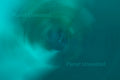 Flowers Circular Blur Blue ICM Abstract Stock Photography
