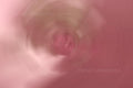 Flowers Circular Blur Pink ICM Abstract Stock Photography