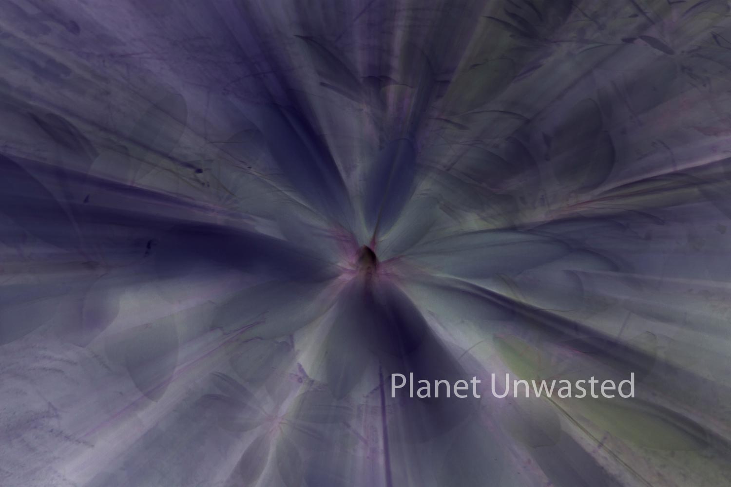 Rhododendron Inverted Purples ICM Abstract Stock Photography