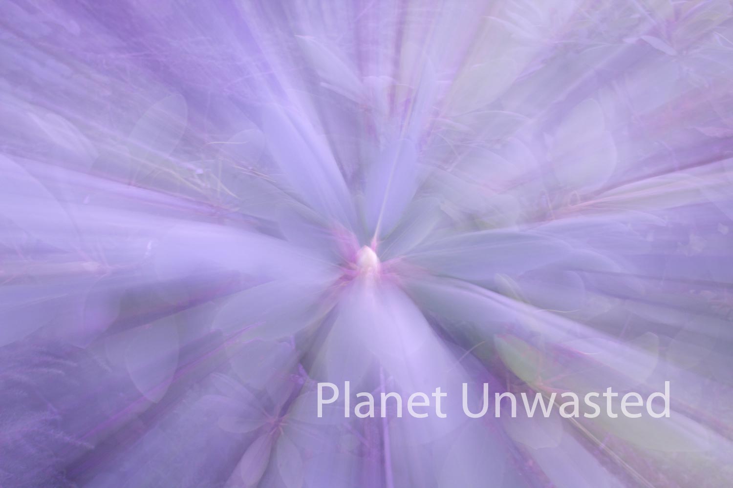 Rhododendron ICM Abstract Stock Photography
