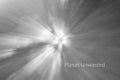Tulip 1 Black and White ICM Abstract Stock Photography