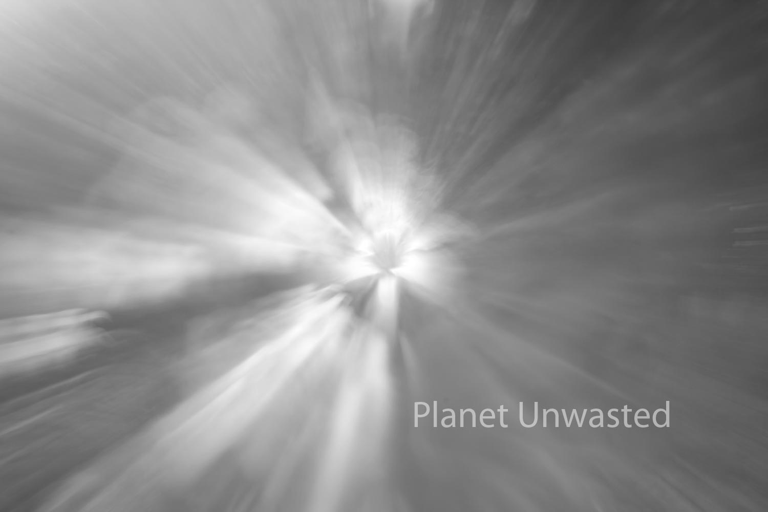 Tulip 1 Black and White ICM Abstract Stock Photography