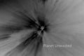 Tulip 1 Inverted Black and White ICM Abstract Stock Photography
