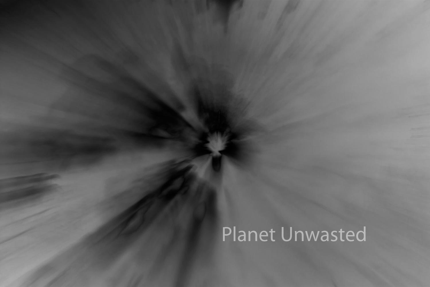 Tulip 1 Inverted Black and White ICM Abstract Stock Photography