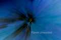 Tulip 1 Inverted Blues ICM Abstract Stock Photography