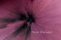 Tulip 1 Inverted Pinks ICM Abstract Stock Photography