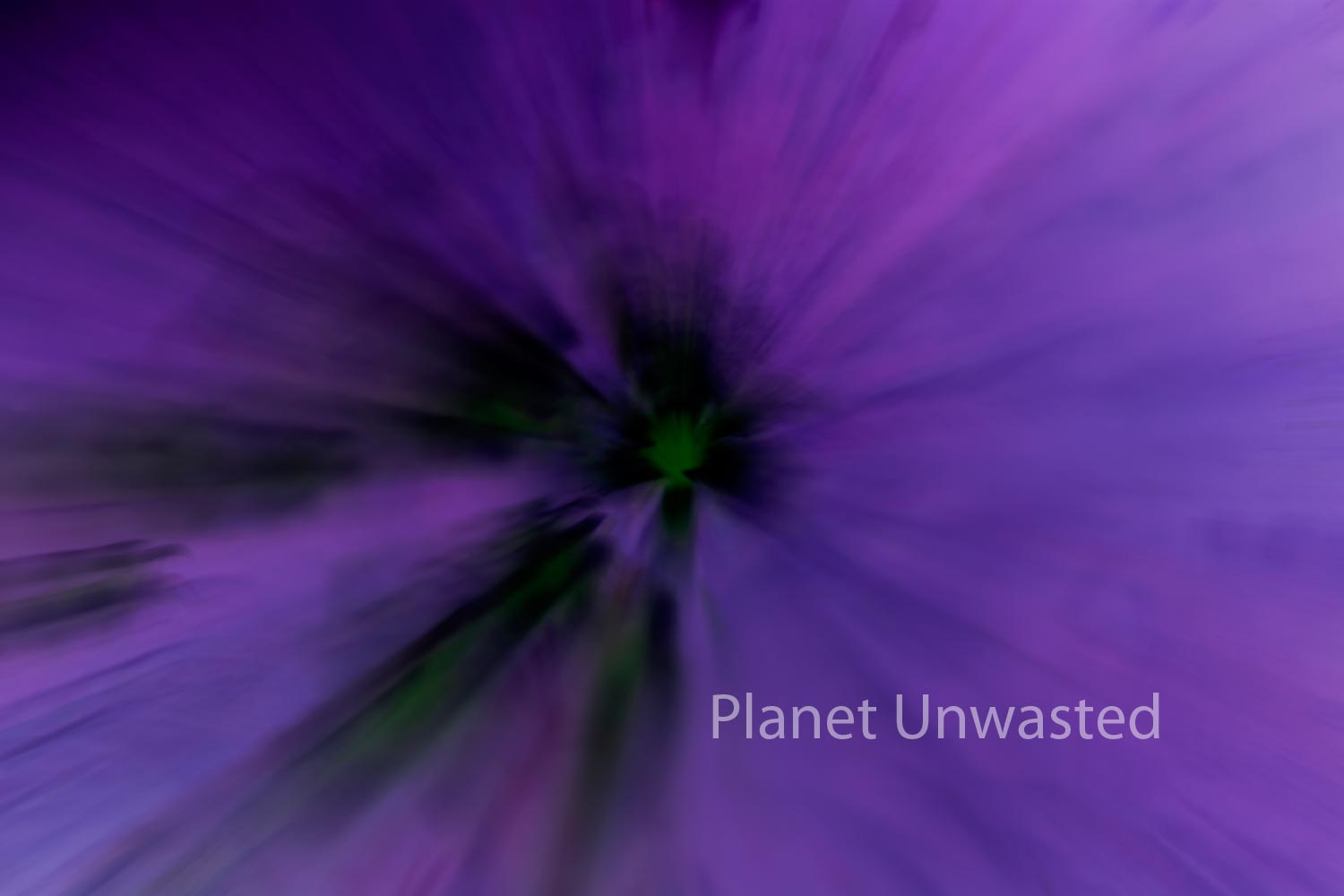 Tulip 1 Inverted Purples ICM Abstract Stock Photography