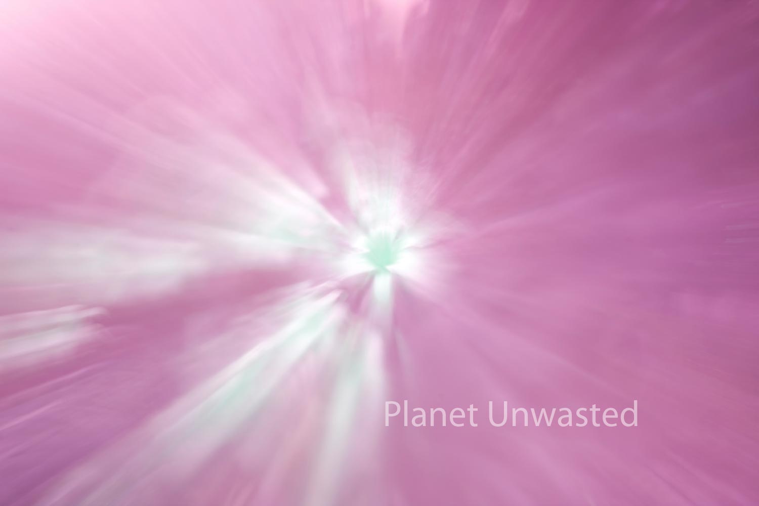 Tulip 1 Pinks ICM Abstract Stock Photography